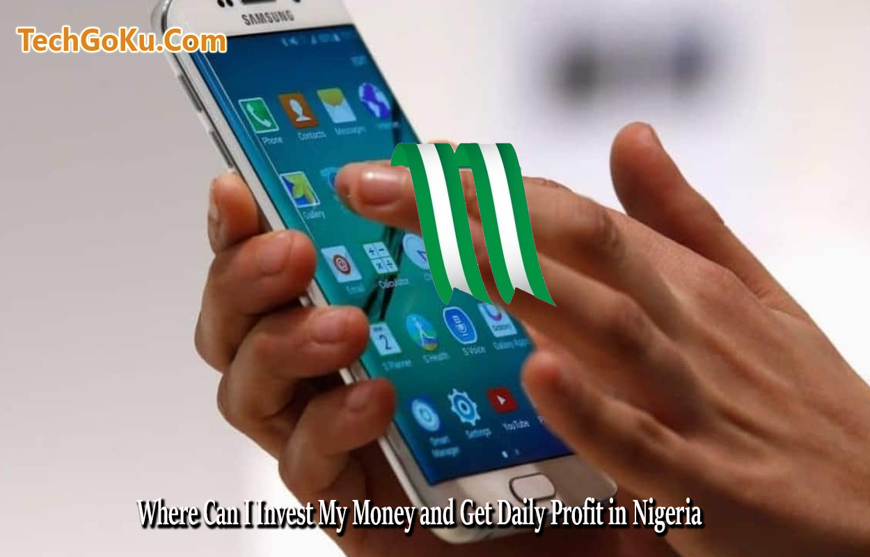 Where Can I Invest My Money and Get Daily Profit in Nigeria